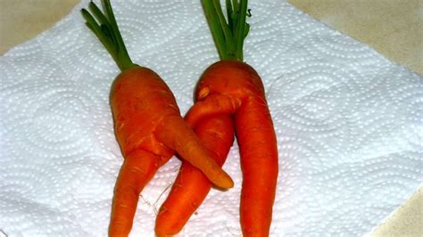 even carrots love sex youtube