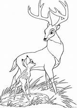 Bambi Bambie Mewarnai Pobarvanke Kleurplaten Pobarvanka Malvorlagen Colorier Maman Wolves Paud Bambi2 Pgs Macam Fils Père Coloriages sketch template