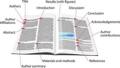 people read scientific papers mind  graph blog