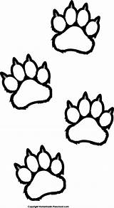 Paw Tiger Bear Print Clipart Prints Clip Footprint Outline Claw Wildcat Coloring Draw Bengal Paws Drawing Cliparts Clipartfest Cartoon Preschool sketch template