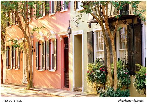 iconic streets  explore  charleston sc charlestonly charleston vacation explore