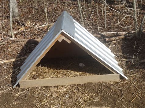 nesting box  goose west  rayleigh