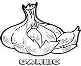 Coloring Pages Vegetable Garlic sketch template