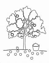 Apfelbaum Ausmalbild Pommier Colorir Macieira Coloriage Dessin Coloriages Ausmalbilder sketch template