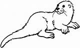 Otter Clipart Sea Coloring Pages Animal River Clip Printable Drawing Template Color Otters Cliparts Templates Animals Drawings Colouring Creature Sheets sketch template