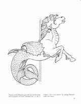 Coloring Pages Horse Sea Neptune Carousel Mermaid Choose Board Books Picasaweb Google sketch template