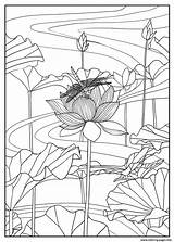 Coloring Pages Lotus Flowers Adult Adults Mizu Color Kids Floral Printable Vegetation Print Beautiful Exclusive Scene Justcolor Nggallery sketch template