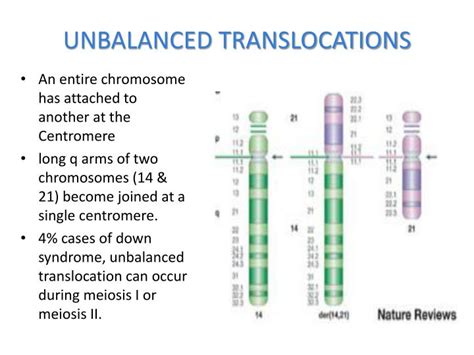 Ppt Chromosomal Abnormalities Powerpoint Presentation Id 5719987