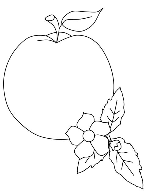 peach fruit coloring pages coloring page book  kids