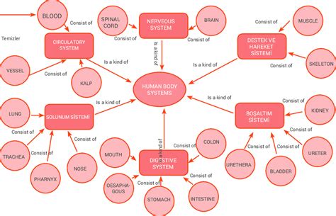 science mind maps concept map science mind map concept map porn sex