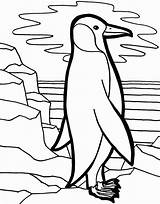 Coloring Penguin Pages Baby Cute Popular sketch template