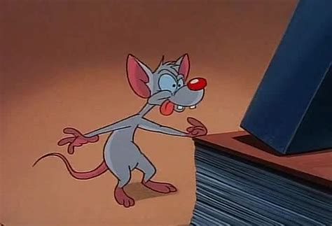 watch pinky and the brain season 1 episode 8 tv or not tv online pinky and the brain