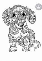 Animals Coloring Pages sketch template
