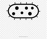 Bacteria Pinclipart sketch template