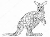 Kangaroo Canguro Zentangle Depositphotos Animale sketch template