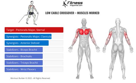 cable crossovers muscles worked
