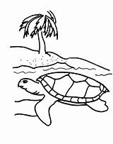 Turtles Tortue Tortues Justcolor Coloriages Enfants Pour Nggallery sketch template