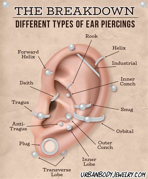 Cartilage Piercing Information And Aftercare