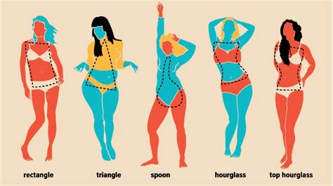 womens body shapes  types measurements