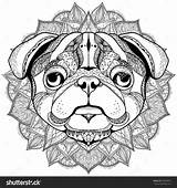 Pug Coloring Pages Adult Puppy Zentangle Printable Shutterstock Color Para Colorir Guardado Partir Stylized Drawn Cartoon Hand Desenhos Getcolorings Book sketch template