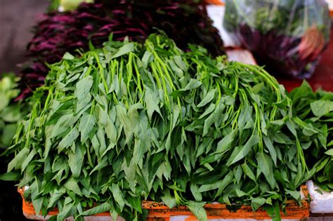 Chinese Vegetables Leafy Greens China Sichuan Food