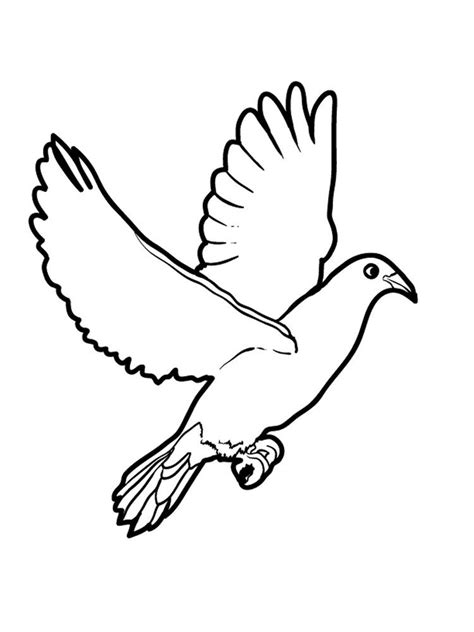 bird coloring pages  printable     bird coloring