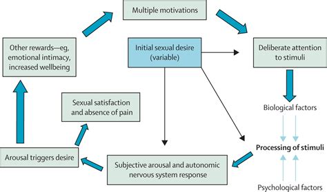 Sexual Sequelae Of General Medical Disorders The Lancet