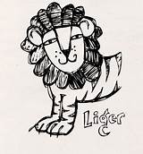 Liger Dynamite Napoleon Drawing Sketch Paintingvalley Evans Melissa Drawings Ligers sketch template