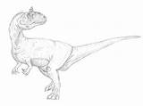 Maniraptora Cryolophosaurus sketch template