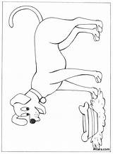 Coloring Animals Pages Dog Domestic sketch template