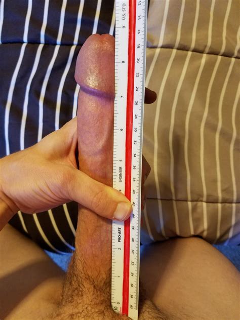 ruler pics can anyone show 8 inches page 89 lpsg