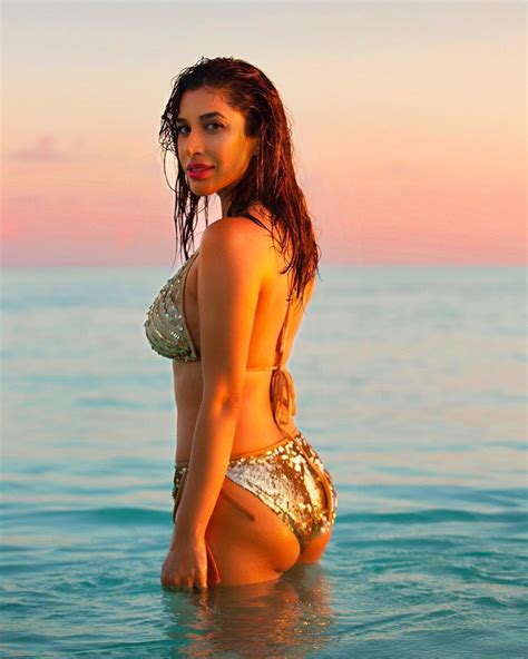 Sophie Choudry Hot Pictures Bollywood Actress Hot Bollywood