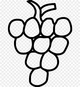 Anggur Mewarnai Grapes Pohon Onlinewebfonts sketch template