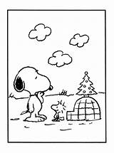 Coloring Snoopy Christmas Charlie Pages Brown Woodstock Printable Peanuts Kids Sheets Color Valentine Print Tree Xmas Activity Book Drawing Doghouse sketch template