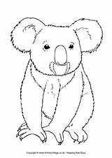 Koala Colouring Australian Animal Pages Animals Drawing Coloring Templates Outline Activityvillage Printable Bear Australia Drawings Colour Koalas Cute Aussie Craft sketch template