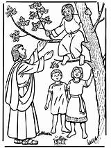 Zacchaeus Coloring Pages Printable Books sketch template