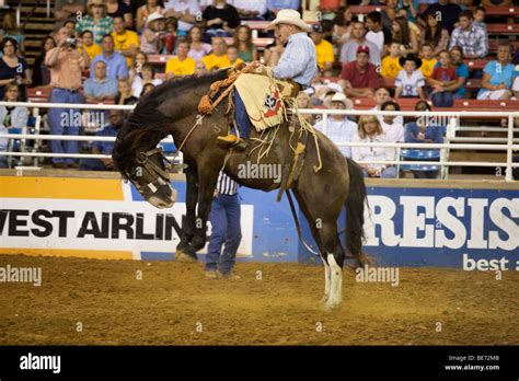 rodeo cowboy saddle bronc riding   mesquite championship rodeo