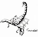 Scorpion Drawing Draw Tattoo Cartoon Drawings Designs Line Scorpions Colouring Coloring Clip Deviantart Clipartmag Tatoo Pages Stats Downloads sketch template