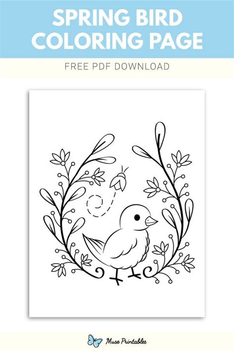 spring bird coloring page bird coloring pages coloring pages