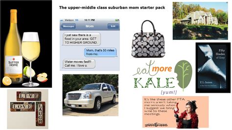 The Upper Middle Class Suburban Mom Starter Pack