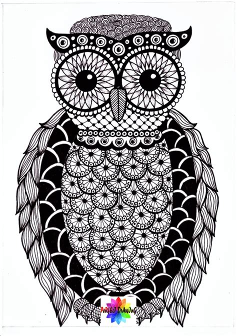 owl drawing  mandala art  beginners owl bird doodle drawing