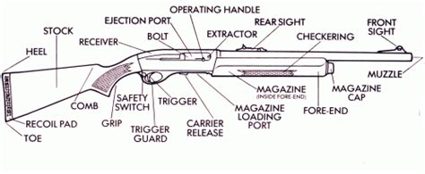 double barrel shotgun parts diagram