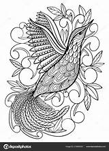 Adultos Hummingbird Paracolorear Bonita sketch template