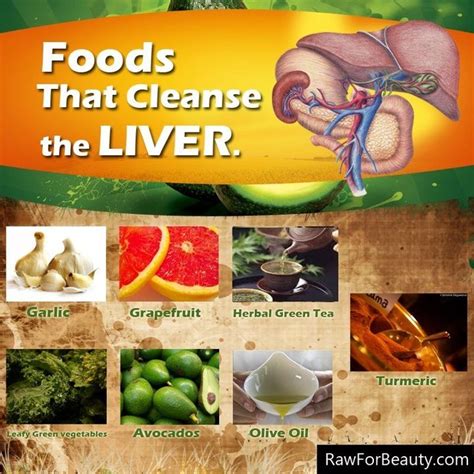 pin by tracie ormsby on healthy living liver health