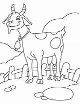 Goat Coloring Baby Pages Kids Colorir Glad Template Para Getcolorings Printable Pasta Escolha sketch template