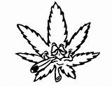 Weed Marijuana Freecoloringpages K5worksheets K5 sketch template