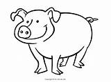 Pigs Little Three Coloring Pages Pig Story Kids Happy Drawing Clipartmag Getdrawings sketch template
