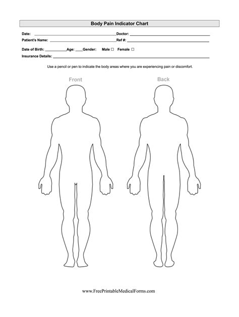 female body diagram blank blank body body outline body template human
