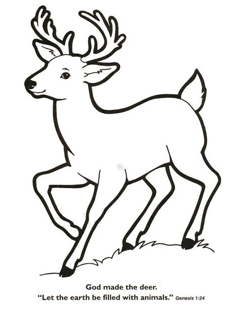 god   animals coloring page coloring home