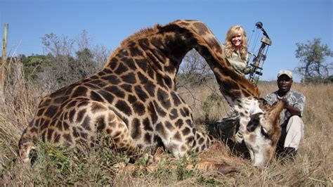 petition  longer  photographs  animals hunted  trophies